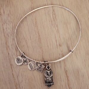 Alex And Ani Silver Owl Bracelet
